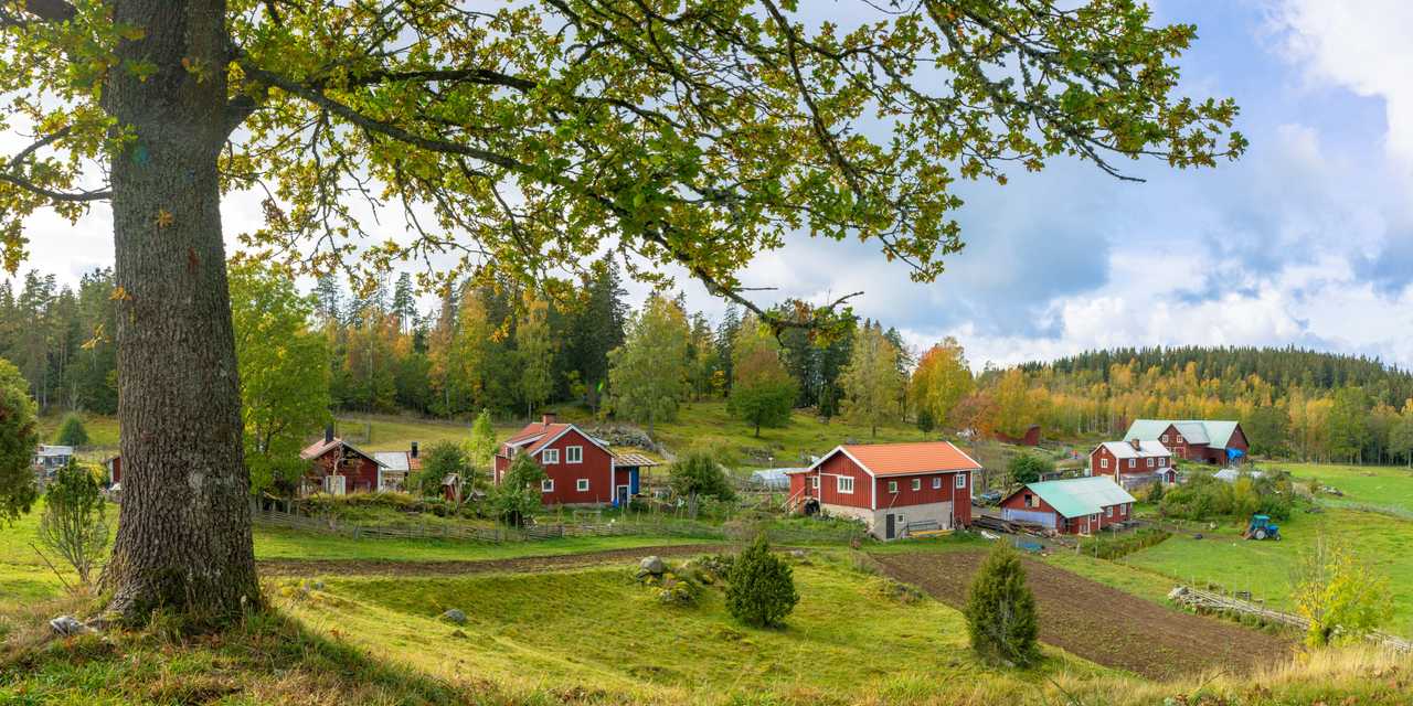 Sälja fastighet i dödsbo.jpg