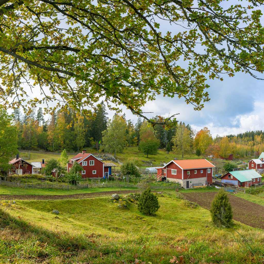 Överlåtelse av arv - gratis mall.jpg