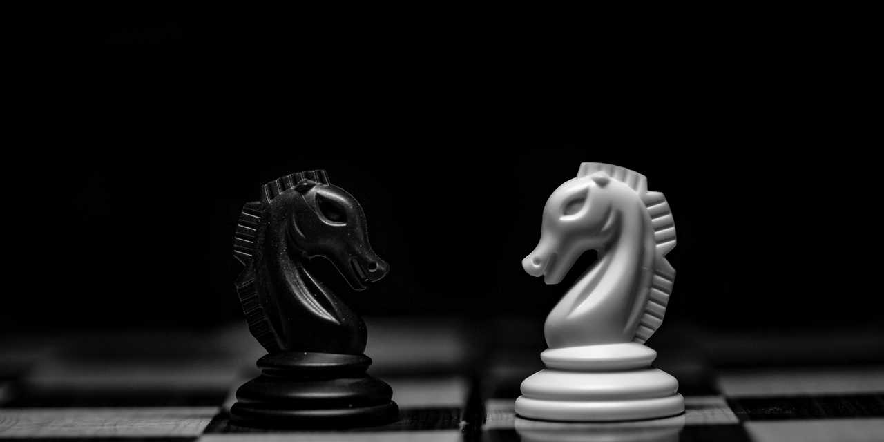 Kaksi shakkinappulaa.