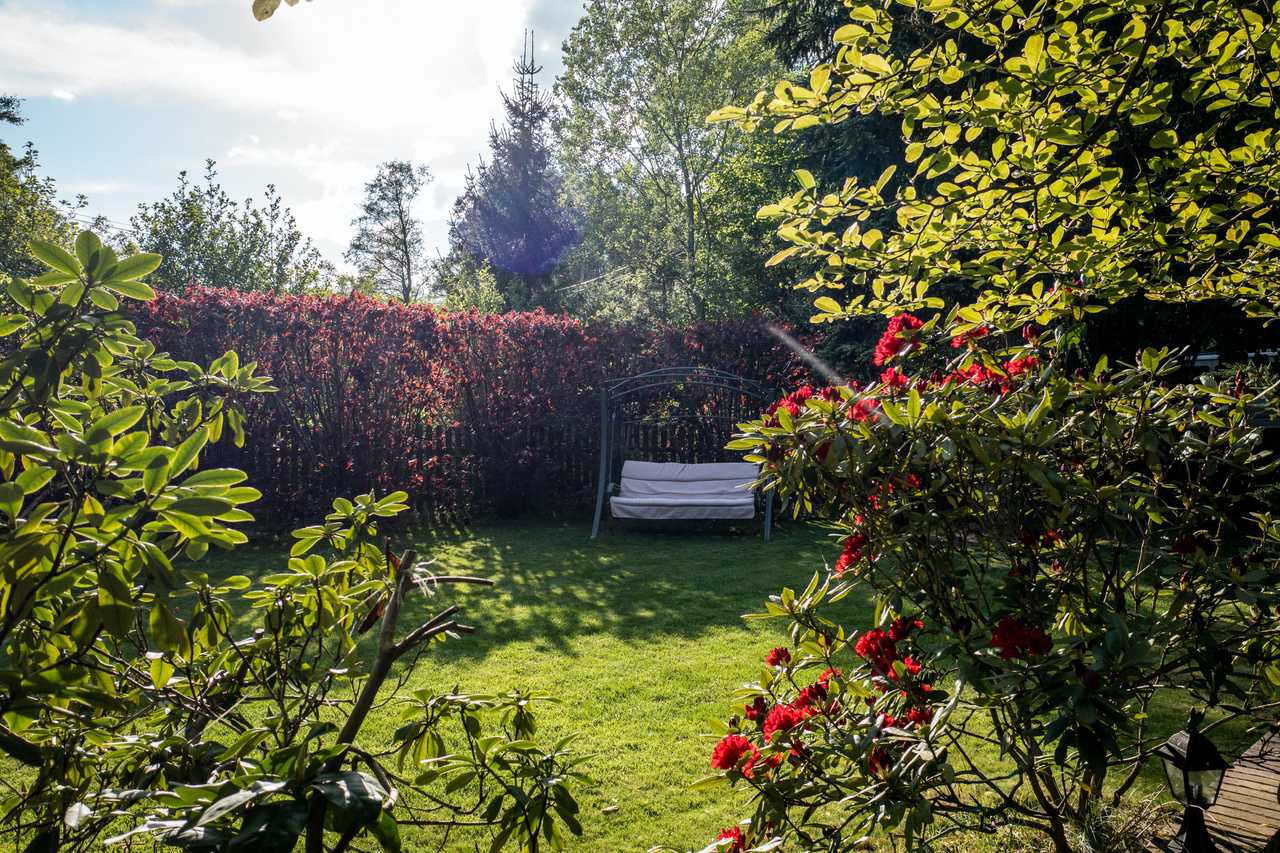 Grönskande trädgård