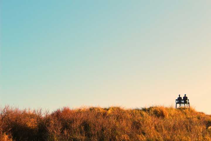 Two people sitting on a bench overruled by the blue sky and overgrown grass