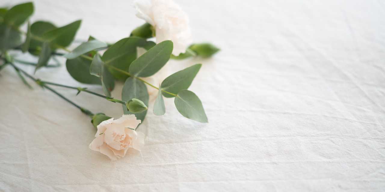 Valkoisia ruusuja hautajaisissa