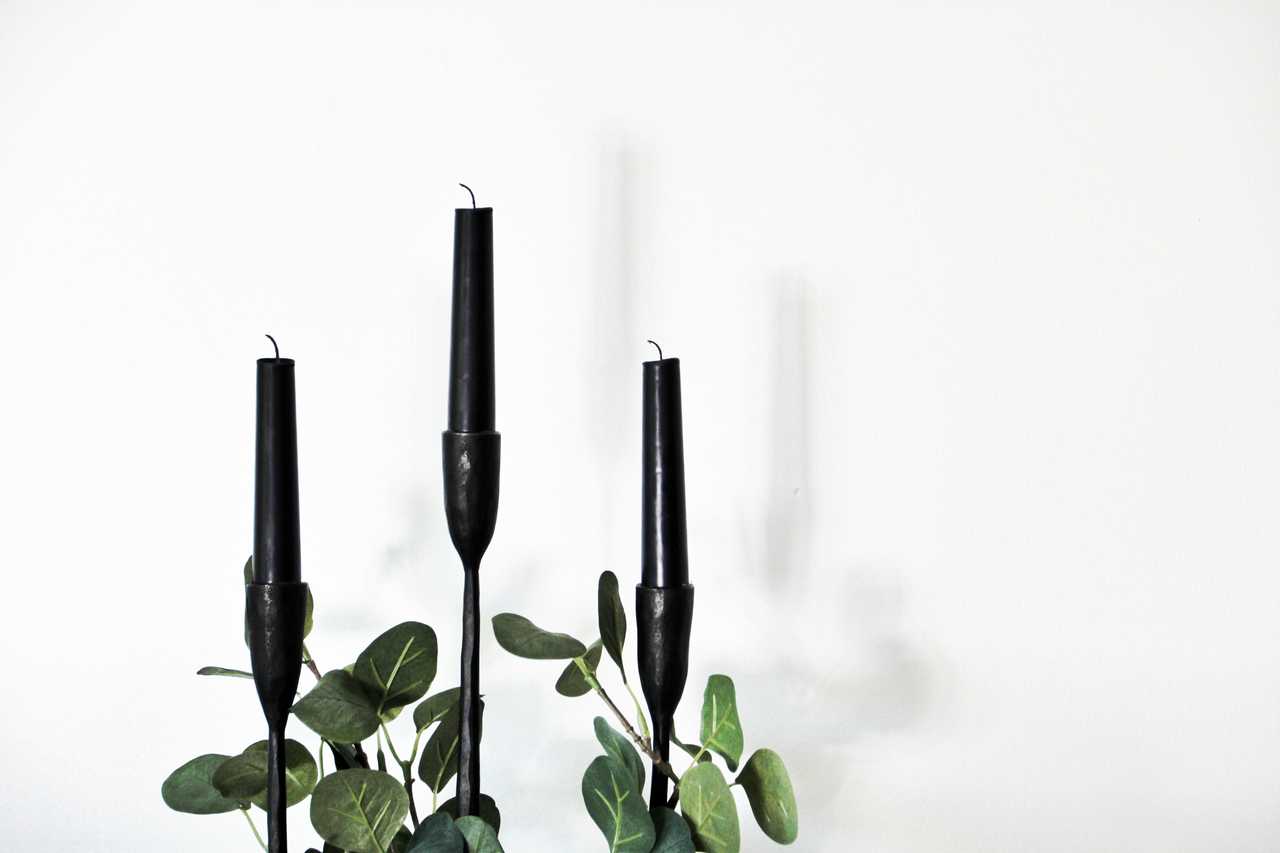 Svarta ljus med gröna blad