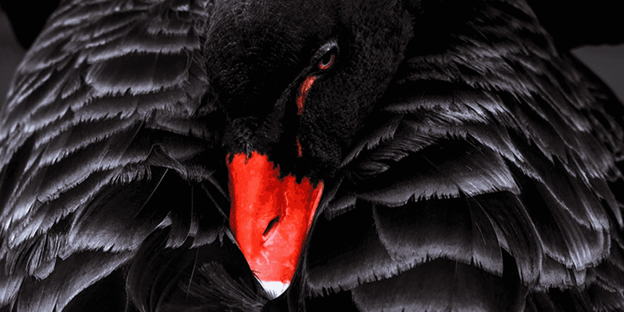 Black Swan