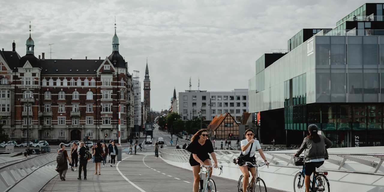 Fremtidsfuldmagt vejledning