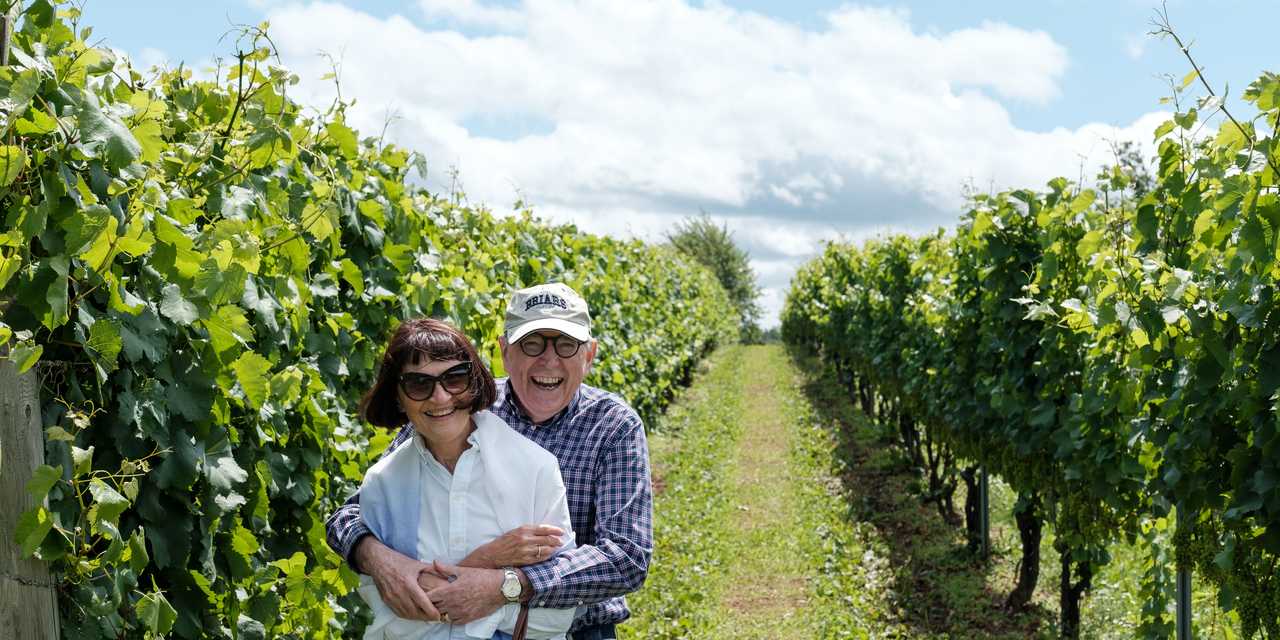 Puolisot halailevat viinitilalla