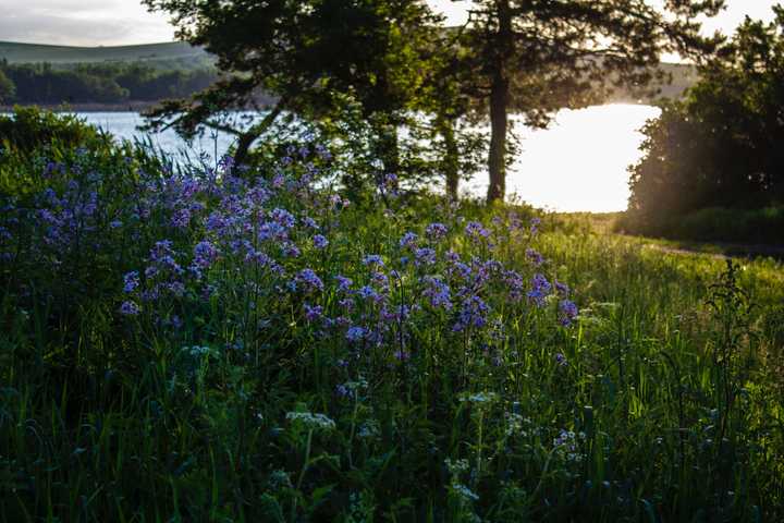 Järvi, niittyä ja metsää