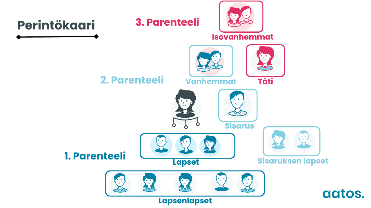 Perintökaari havainnellistettuna
